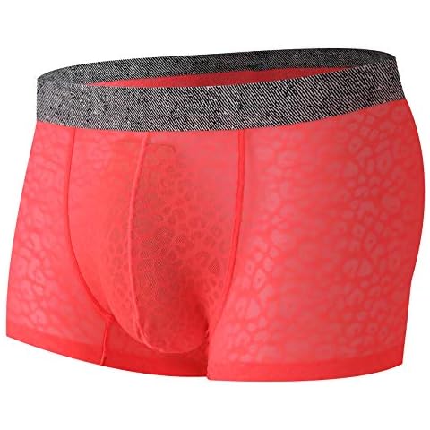 Nebesheii Men's Lace Mesh Boxer Underwear Cover