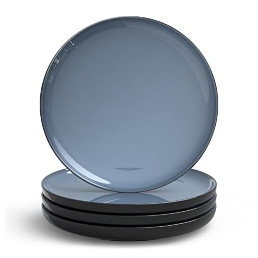 MEKY Dinner Plates Set of 4, 10 Inch Ceramic Plates, Round dish set, Easy to Clean, Microwave Dishwasher and Oven Safe, Serving Dishes, Kitchen Porcelain Serving Dishes (Gray-Blue)