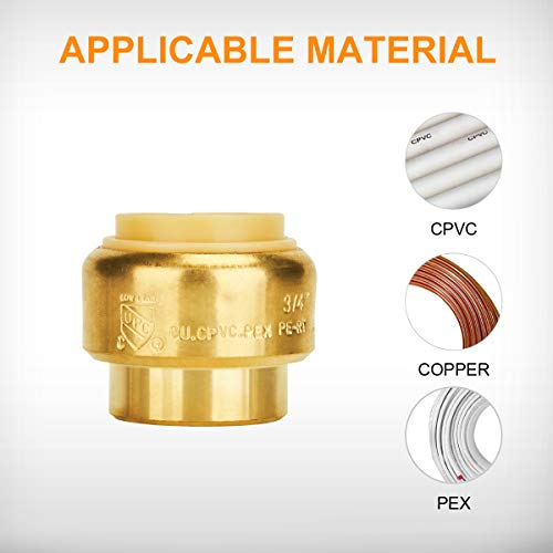 image for SUNGATOR 6-Pack Push Fit End Cap, 3/4-Inch Push-to-Connect, Lead Free 