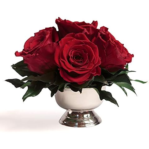 ROSEMARIE SCHULZ Heidelberg Infinity Rosen in silberfarbener Schale 6 konservierte Rosen langhaltende Blumendeko Cover