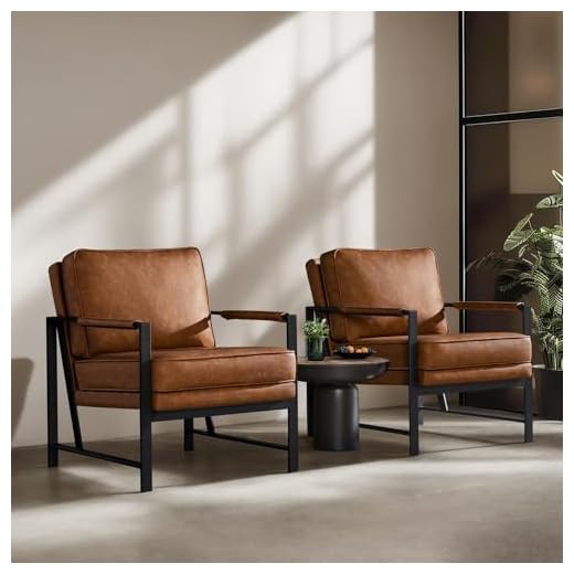 Comfortable Set of 2 Accent Chairs