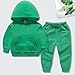 Toddler Boys Girls Hoodies Sweatshirt Autumn Long Sleeve Solid Color Tops Pants with Pocket Fashion Outfit 2Pcs Set 12-18 Month Halloween Costume Girl Green 12-18Months