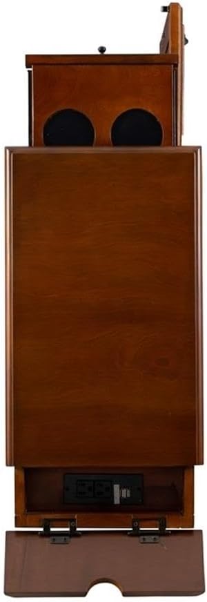 Pemberly Row 1-Door Transitional Wood End Table, Hazelnut Brown Finish, 24" W x 12" D x 24" H, MDF and Poplar Wood, Flip-Up Charging Station, Pull-Out Tray, Hidden Storage, Sofa or Chair Side Table