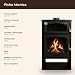 EIDER BIOMASA Estufa de Leña con Horno ASTON Imagen de EIDER BIOMASA Estufa de Leña con Horno ASTON