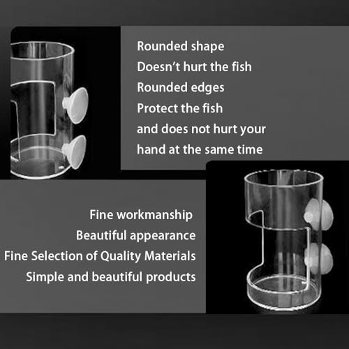 Image of Fish Feeder Orbicular Automatic Fish Feeders Reduced Filter Clogging Tank Suitable for All Kinds of Food Tank Accessories