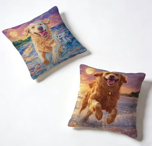 �N�b�V�����J�o�[ 55x55 cm 2���Z�b�g ���F ���z�c�J�o�[ 55 x 55 ���O �h�� �\�t�@�[�N�b�V���� �� ���� �ϖ� ���� ���� ���J�o�[ HD���ʈ�� �B���t�@�X�i�[�t�� Cushion Covers, �t�ƉĂ̗����ɓK���Ă��܂� �Ⴄ��