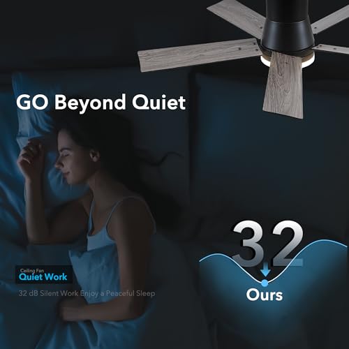 Image of Rayqueen 42 Inch Flush Mount Black Ceiling Fans with Lights and Remote