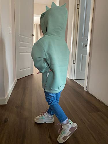 Qlipin Unisex Baby Sweatshirt Hooded Sweatshirt Long Sleeve Sweat Top Green #TOP3