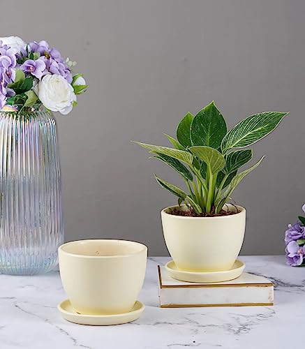 Image of Nurturing Green Set of 2 Modern Ivory White Ceramic Pots (Plants Not Included) for Home, Indoor Decor & Gifting (Size: Small (4.25 Inch Wide) | Comes with Bottom Plates)