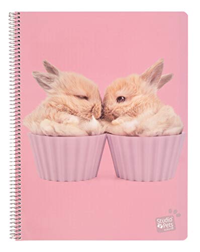 Grupo Erik: Quaderno A4 Studio Pets Rabbits