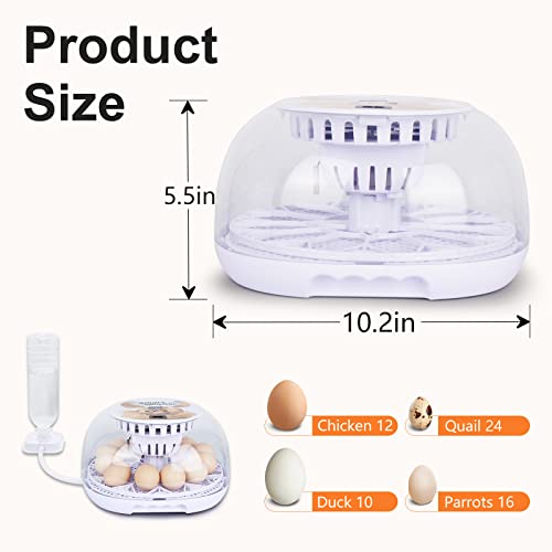 NORJIN Egg Incubator, 12 Eggs Incubator for Hatching Eggs, Digital Incubator Chicken Egg Incubator with Automatic Egg Turning and Water Adding for Hatching Chickens Birds Ducks - Thumbnail 2