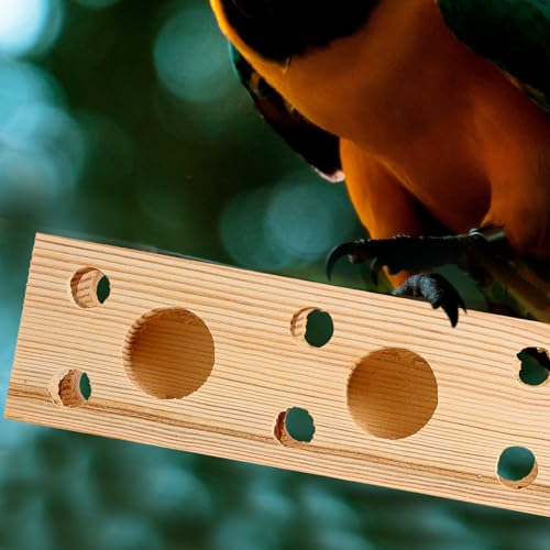 HAPINARY Brinquedo de mastigar papagaio, periquito, brinquedos de pássaros grandes, palito de pássar