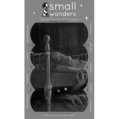 Small Wonders Magazine Issue 28