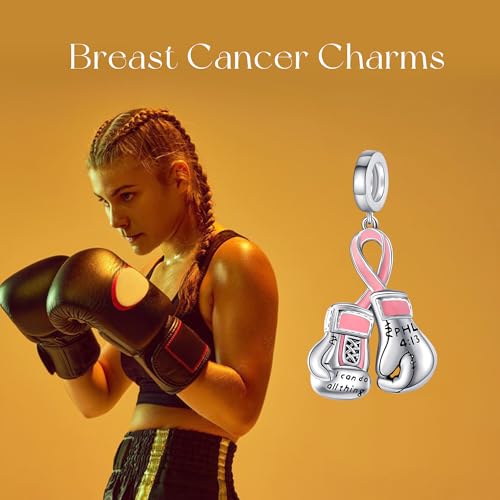 Breast Cancer/Cross/Butterfly Charms 925 Sterling Silver Charm for Bracelets Awareness Religious Animal Jewelry Mothers Gifts for Women Mom Grandma2