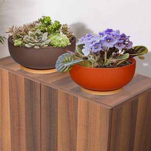 SQOWL 10 Inch Large Terracotta Planter Pot,Clay Succulent Bonsai Planter with Drainage Hole and Bamboo Saucer for Indoor Plants by SQOWL - Used condition - Image 7