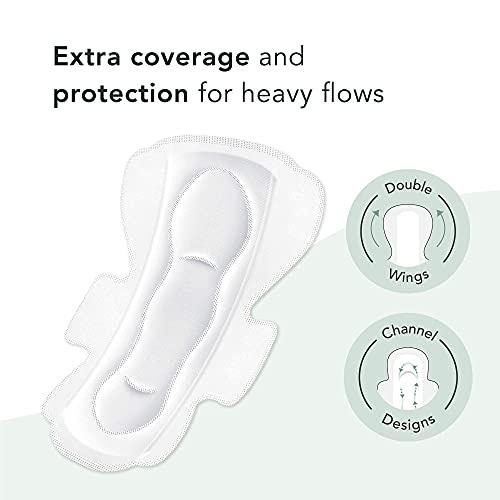 Rael Organic Cotton Cover Panty Liners (Regular, 44 Count) & Regular Pads (28 Count) & Large Pads (24 Count) Bundle #TOP5