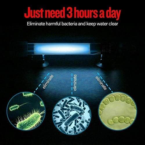 Diagram showing UV lamp eliminating bacteria and algae