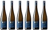 kalksteinmauer reinigen  2022 Weingut Manz Sauvignon Blanc trocken Kalkstein Rheinhessen (6x0,75l)