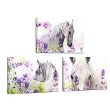 Fochorlo 3 Piece Horse Wall Art Valentine Wall Decor Lavender Pictures for Living Room Bedroom Gallery Wrapped (Medium)
