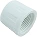 Threaded Cap, 3/4 in, FPT