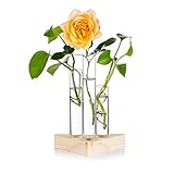 EINZIGARTIGES DESIGN: Einzigartiges und kreatives Reagenzglasgestell aus Holz, glatte Oberfläche und gute Durchlässigkeit. Der einfache Look eignet sich für die meisten Pflanzen, eignet sich auch hervorragend für Blumenarrangements und verschiedene Geschenkideen.