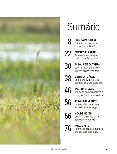 Guia Fotografia Fácil Volume 3: Fotografe ao ar livre