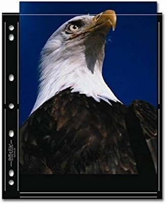 Print File S-Series 8 x 10in. Black Album Pages - 25 pages