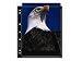 Black 8x10 Photo Page Pack (25) by Print File Inc