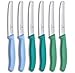 Victorinox Swiss Classic, coltello da colazione, set di coltelli da pane, 6 pezzi, lama affilata, bordo seghettato, 11 cm, acciaio inossidabile, Sfumature di blu, sfumature di verde