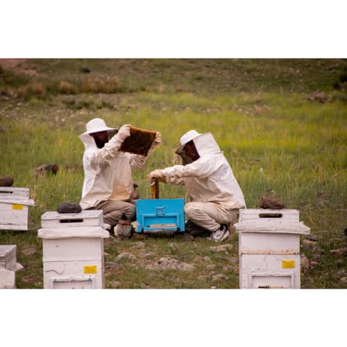 Máscara Para Apicultor Abelha Mosquito Brim Tamanho Único