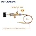 HZ-MONSTAR Low Pressure LPG Propane Gas Fireplace Fire Pit Flame Failure Safety Control Valve Kit with Igniter Assembly Fire Pit Igniter, Push Button Ignition Kit for Gas Grill, Heater, Fire Pit