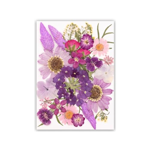 �����^�p�̊��������� �X�N���b�v�u�b�L���O�p�̓V�R�����t �����W���G���[�̂������� �Ïk�Z�b�g