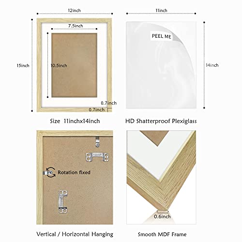 Living Room Plant Wall Art: Bedroom Bathroom Framed Print Green Botanical Picture Minimalist Eucalyptus Leaf Painting 2 Piece Modern Nature Photo Contemporary Gallery Artwork Office 11X14 #TOP5