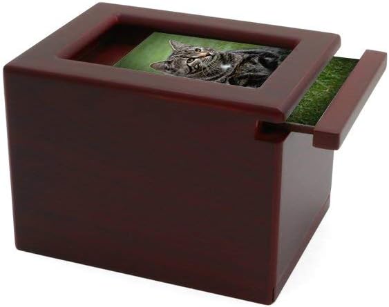 Near & Dear Pet Memorials MDF Pet Photo Cremation Urn, 25 Cubic Inch, Cherry Finish