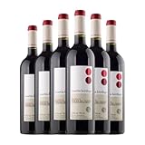 Martín Berdugo Barrica Tempranillo Ribera del Duero Botella Medium 50 cl Vino tinto (Caja de 6 Botella Medium de 50 cl)