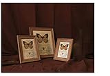 Ecogemy 3Pcs 5 Zoll kreativer nordischer europäischer Fester hölzerner Foto-Rahmen, Hochzeits-Studio-Bilderrahmen, freistehendes und an der Wand befestigbares Mahagoni * 3