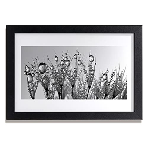 Affiche encadrée 30x20 cm Tulup en MDF motif abstraction wildlife