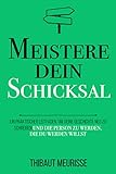Meistere dein Schicksal: Ein praktischer Leitfaden, um deine Geschichte umzuschreiben und die Person zu werden, die du werden willst (Meister Serie, Band 4) - Herausgeber: Francie Carter Thibaut Meurisse Übersetzer: Patrick Thiele 