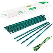 Garsum Green Bamboo Sticks Garden Wood Plant Stakes,Floral Plant Support Wooden,Wooden Sign Posting Garden Sticks,15 Inches 25 Pack