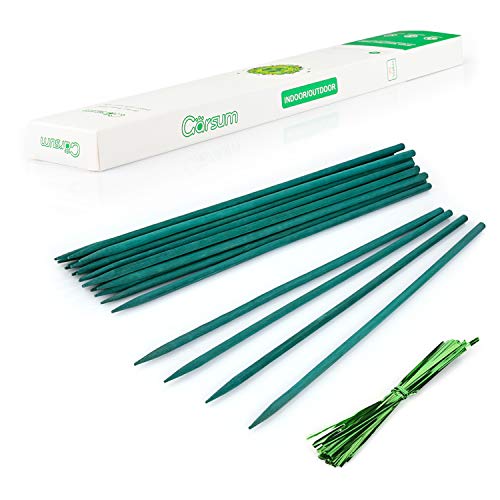 Garsum Green Bamboo Sticks Garden Wood Plant Stakes,Floral Plant Support Wooden,Wooden Sign Posting Garden Sticks,15 Inches 25 Pack by Garsum - Used condition - US$8.30