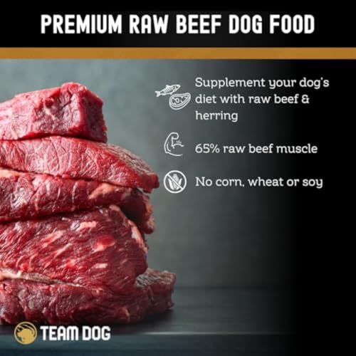 Image of Team Dog Raw Frozen Dog Food | 65% Beef Muscle, Organ Meats, Herring & Green Tripe for Dogs | All Natural Grain Free Dog Food for Optimal Health, Digestion & Coat | 16 x 1lb Rolls