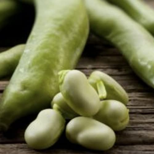 96. Primavera: ecco quali sono le verdure di stagione