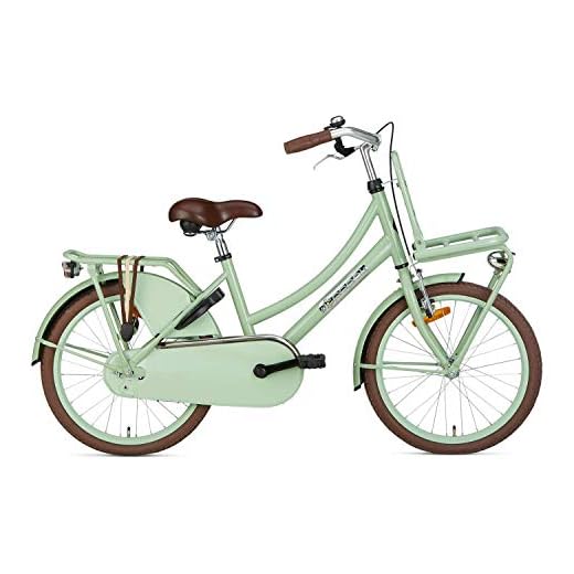 POPAL 20 tums flickcykel daglig holländsk bas enkel hastighet grön 32 cm ramstorlek