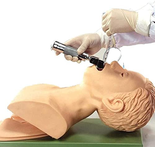 Lemita Oral And Nasal Intubation Training And Teaching Demonstration Of Nasal Intubation Intubation Manikin Study Teaching Model Pvc Airway Management Trainer For Medical Educational Training Aid #TOP1