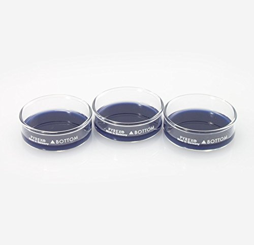 Small Blue Dissection Petri Dish