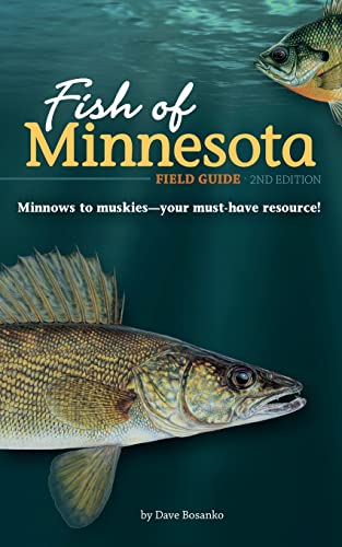 Fish Of Minnesota Field Guide (Fish Identification Guides) #TOP8