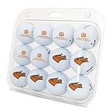 Desert Cactus University of Texas Dallas Golf Balls 12 Pack – UTD Comets Full Color Dozen – Officially Licensed Sport Team Accessory