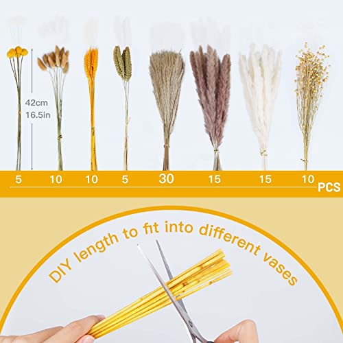 Sosayet Pampas Secas Decoracion, 100 Piezas Flores Secas Naturales 40-44 cm, Ramos de Flores Secas Naturales Decoración para el Hogar, Hierba de Pampa Esponjosas para Decoracion Boho Fiestas Bodas - imagen 4