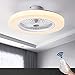 Ventilador de techo con iluminación, LED Lámpara de techo, Velocidad de viento ajustable, temperatura de 3 colores regulable con mando a distancia