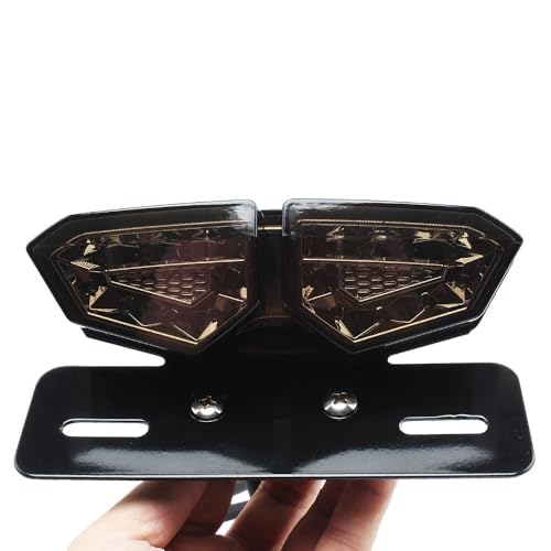 Luz trasera de motocicleta universal roja 6